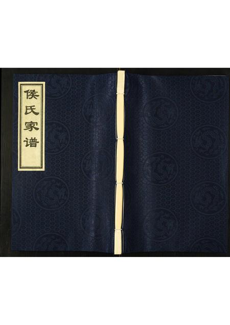 山东侯氏-侯氏家谱.pdf电子版缩略图