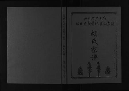 四川胡氏-胡氏家谱[不分卷].pdf电子版缩略图