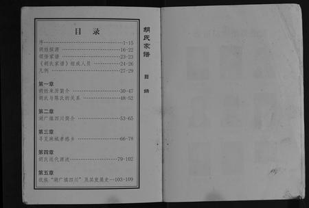 四川胡氏-胡氏家谱[不分卷].pdf电子版预览图4