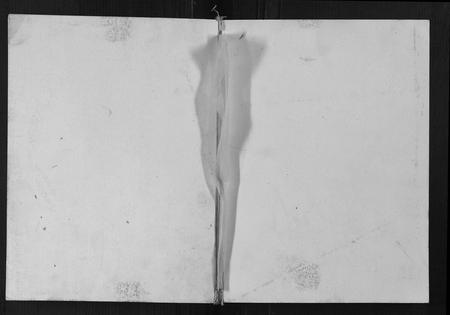 四川胡氏-胡氏族谱[6卷首1卷].pdf电子版缩略图