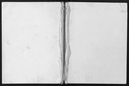 四川胡氏-金凤山胡氏族谱[不分卷].pdf电子版缩略图