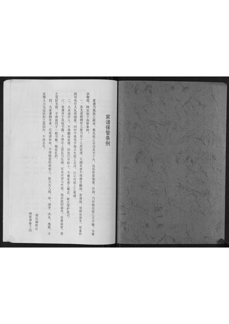 山东胡氏-轩庄胡氏支谱.pdf电子版预览图1