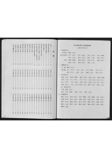 山东胡氏-轩庄胡氏支谱.pdf电子版预览图2