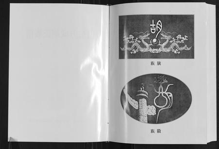 山东胡氏-方城胡氏族谱.pdf电子版预览图2