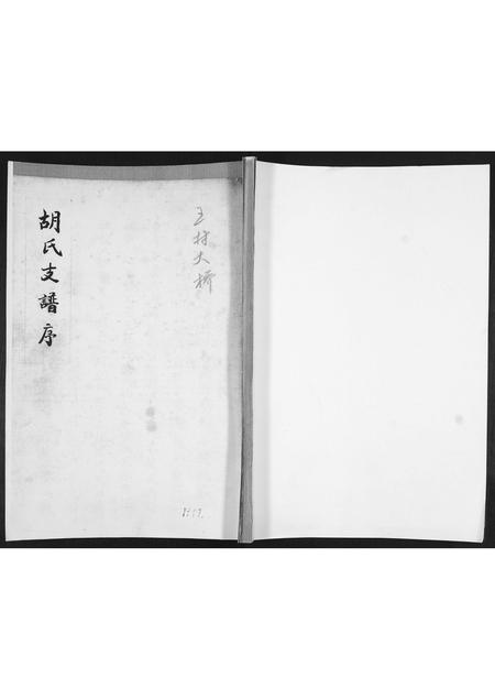 山东胡氏-胡氏支谱.pdf电子版缩略图