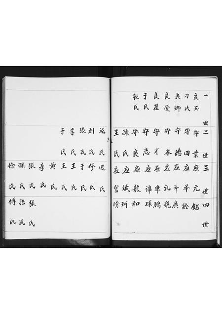 山东胡氏-胡氏支谱.pdf电子版预览图5