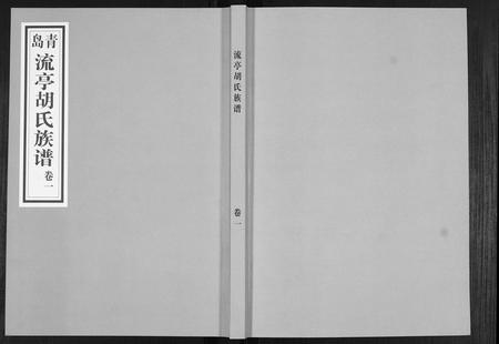 山东胡氏-胡氏族谱.pdf电子版缩略图