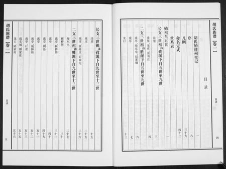 山东胡氏-胡氏族谱.pdf电子版预览图4