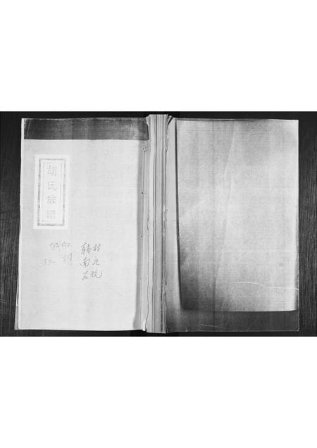 山东胡氏-胡氏族谱.pdf电子版缩略图