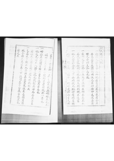 山东胡氏-胡氏族谱.pdf电子版预览图1