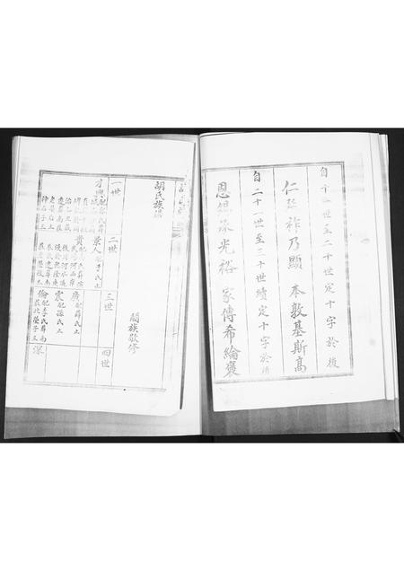 山东胡氏-胡氏族谱.pdf电子版预览图4