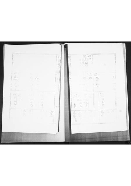 山东胡氏-胡氏族谱.pdf电子版预览图5