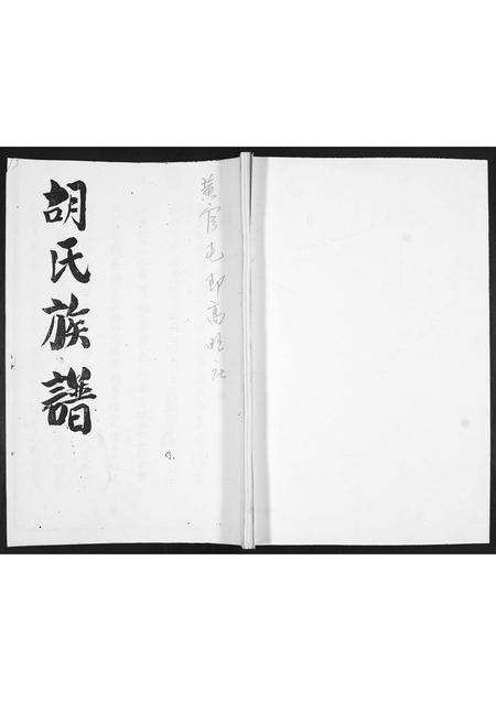 山东胡氏-胡氏族谱.pdf电子版缩略图