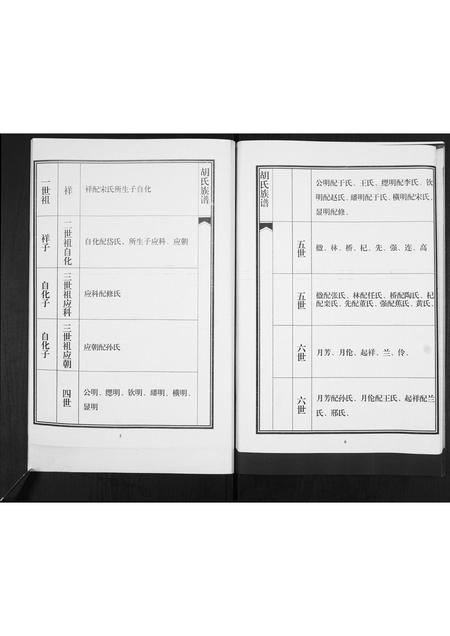 山东胡氏-胡氏族谱.pdf电子版预览图5