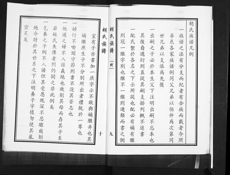 山东胡氏-胡氏族谱[2卷].pdf电子版预览图5