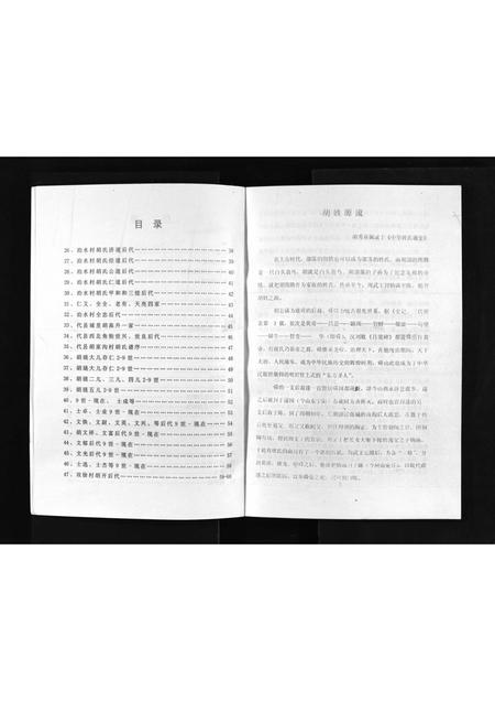 山西胡氏-胡氏家谱 [不分卷](别名：Hu Shi Jia Pu).pdf电子版预览图4