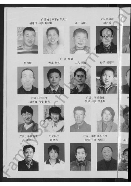 山西胡氏-胡氏家谱 [不分卷].pdf电子版预览图4