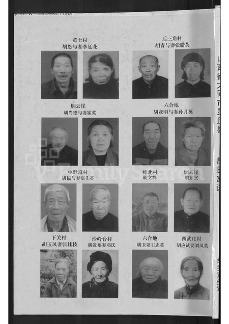 山西胡氏-山西省大同市灵邱县胡氏家谱 [不分卷].pdf电子版缩略图