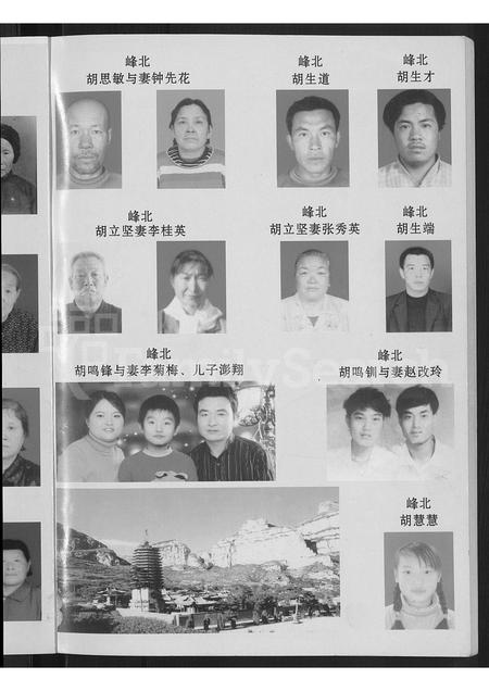 山西胡氏-山西省大同市灵邱县胡氏家谱 [不分卷].pdf电子版预览图3