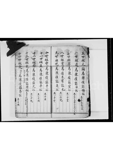 广西胡氏-[胡氏族谱].pdf电子版预览图5