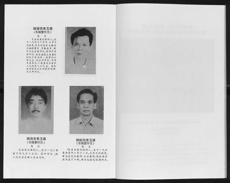 海南胡氏-胡氏族谱[13卷终1卷].pdf电子版预览图4