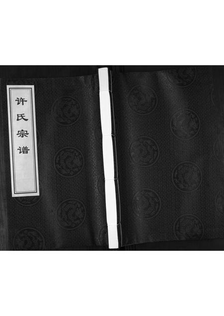 山东许氏-许氏宗谱.pdf电子版缩略图