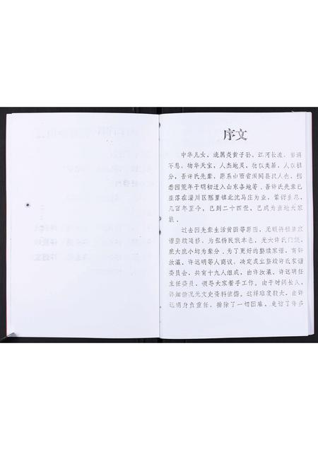 山东许氏-许氏家谱[不分卷].pdf电子版预览图3