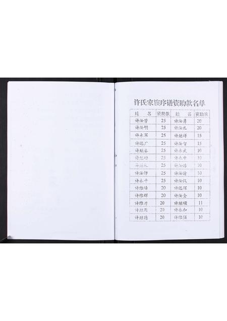 山东许氏-许氏家谱[不分卷].pdf电子版预览图5