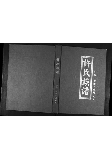 山东许氏-许氏族谱.pdf电子版缩略图