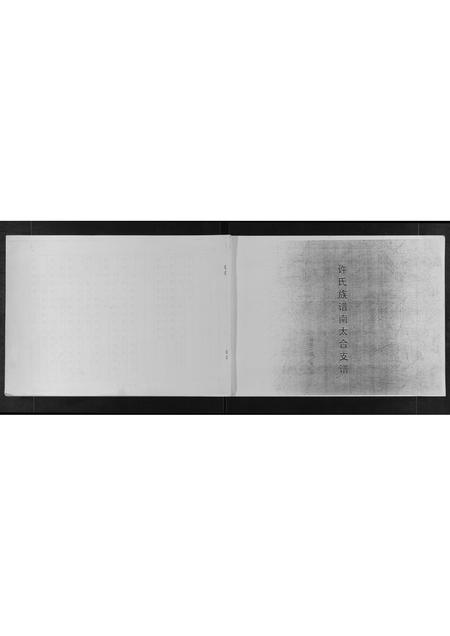 山东许氏-许氏族谱南太合支谱.pdf电子版缩略图