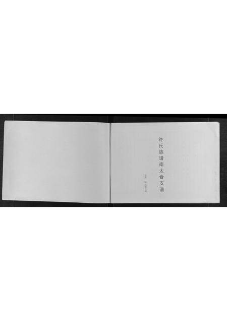 山东许氏-许氏族谱南太合支谱.pdf电子版预览图1