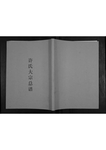 河北许氏-许氏大宗总谱.pdf电子版缩略图