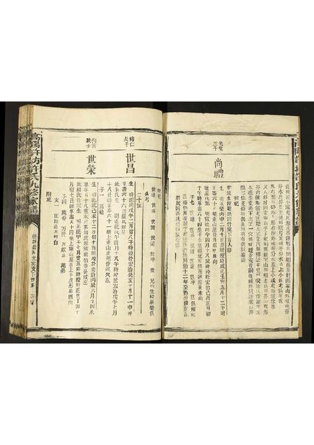 河北许氏-高阳许坊许氏九修家谱.pdf电子版预览图3