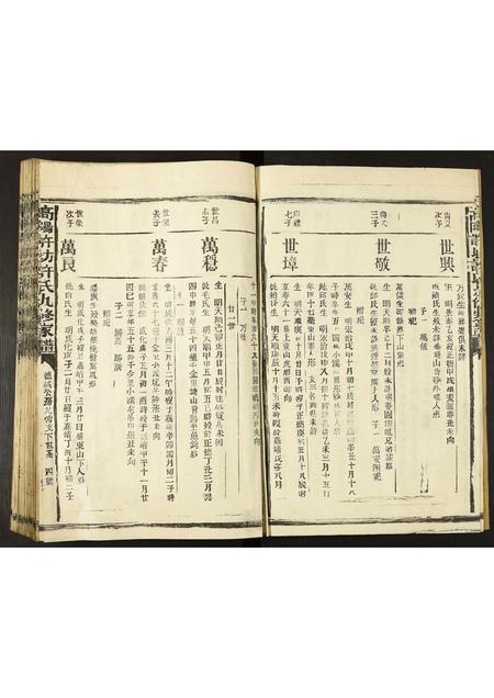 河北许氏-高阳许坊许氏九修家谱.pdf电子版预览图4