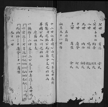 四川华氏-华氏家谱.pdf电子版预览图2