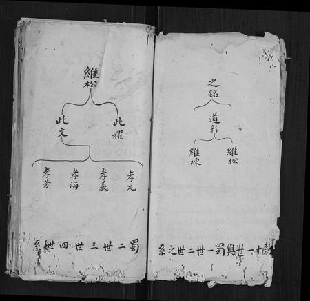 四川华氏-华氏家谱.pdf电子版预览图4