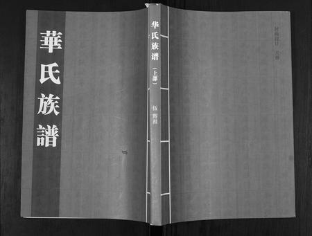 山东华氏-华氏族谱[上部1卷,下部5卷].pdf电子版缩略图