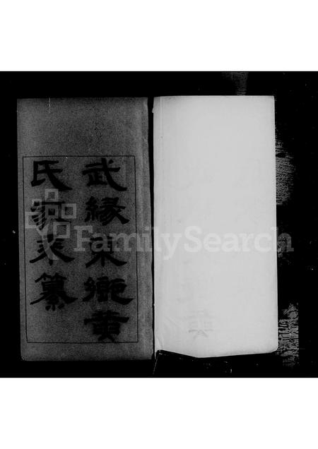 广西黄氏-武缘东乡黄氏家乘纂.pdf电子版预览图2