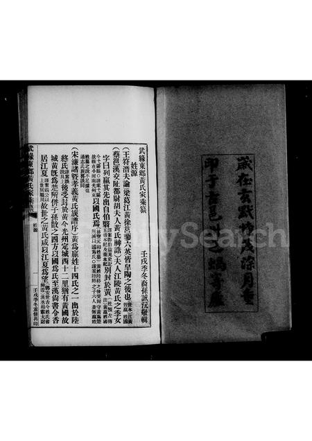 广西黄氏-武缘东乡黄氏家乘纂.pdf电子版预览图3