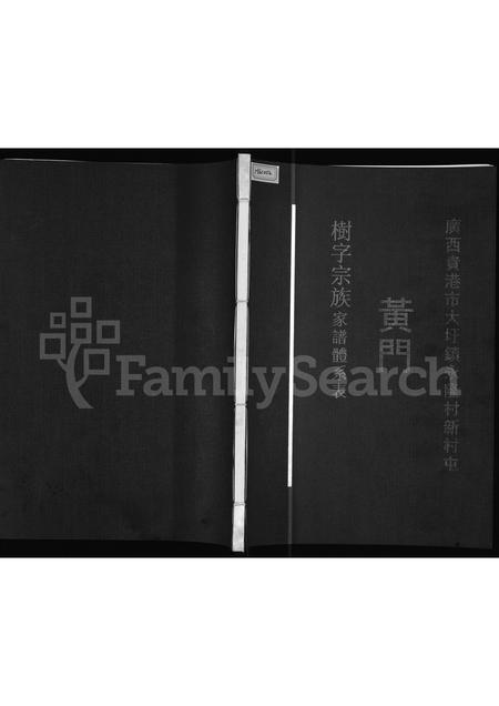 广西黄氏-广西贵港市大圩镇永隆村新村屯黄门树字宗族家谱体系表.pdf电子版缩略图