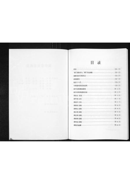 广西黄氏-广西贵港市大圩镇永隆村新村屯黄门树字宗族家谱体系表.pdf电子版预览图2