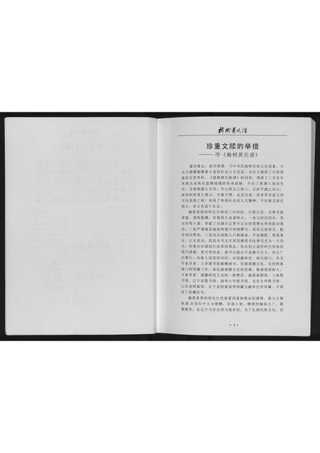 辽宁黄氏-榆树黄氏谱.pdf电子版预览图3