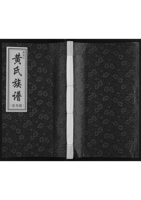 黑龙江黄氏-黄氏族谱[不分卷].pdf电子版缩略图