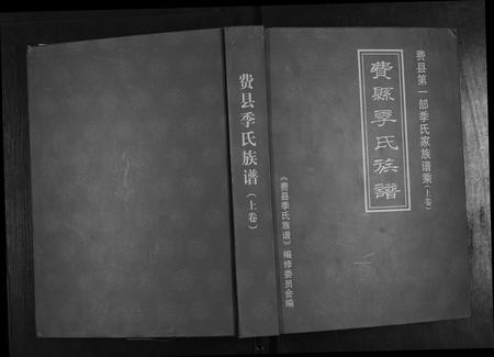 山东季氏-费县季氏族谱[2卷].pdf电子版缩略图