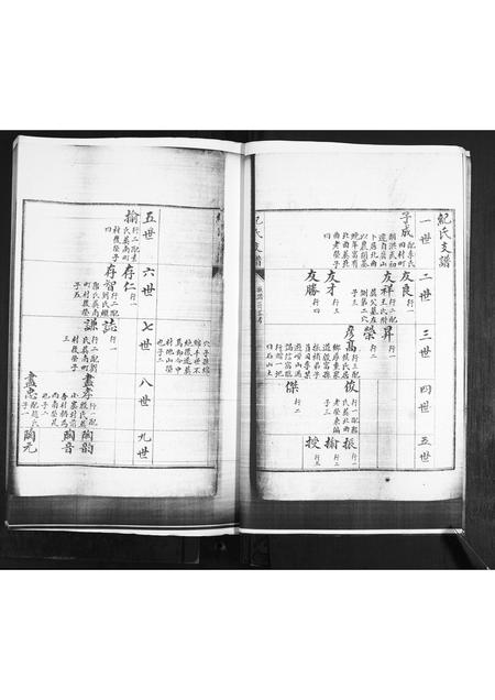 山东纪氏-纪氏支谱.pdf电子版预览图4