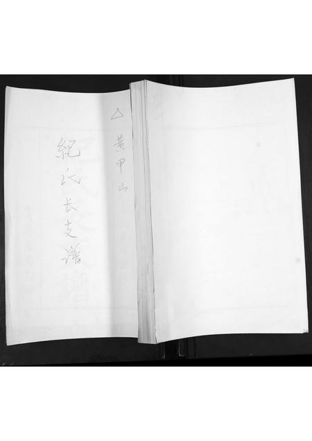 山东纪氏-纪氏长支谱.pdf电子版缩略图