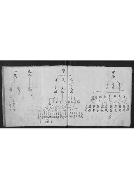 山西冀氏-冀户合户谱.pdf电子版预览图5