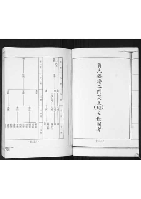 山东贾氏-南黄埠贾氏族谱[全书5卷].pdf电子版预览图2