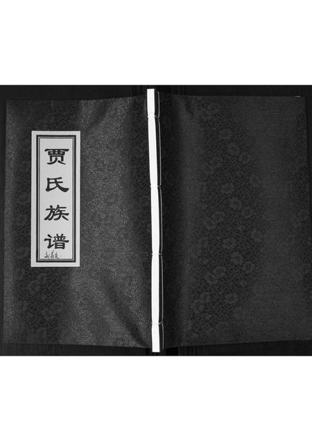 山东贾氏-即墨贾氏族谱.pdf电子版缩略图