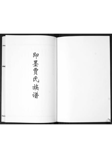 山东贾氏-即墨贾氏族谱.pdf电子版预览图1